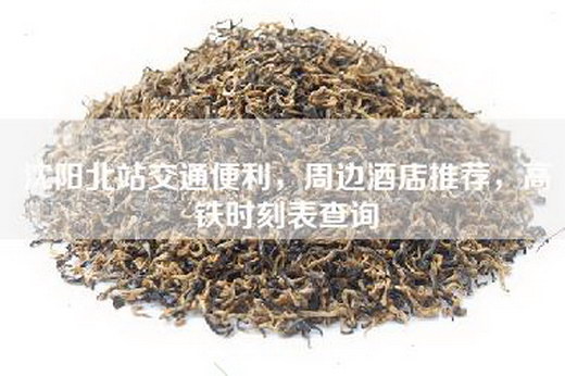 沈阳北站交通便利，周边酒店推荐，高铁时刻表查询