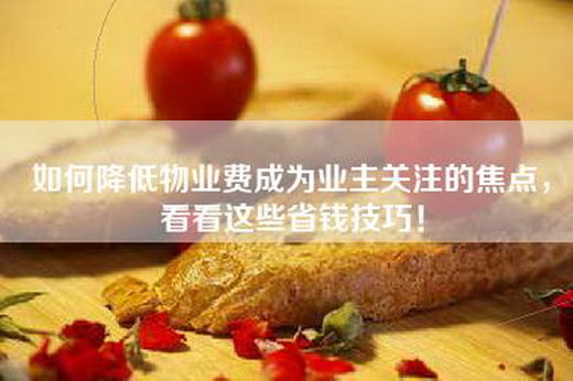如何降低物业费成为业主关注的焦点，看看这些省钱技巧！