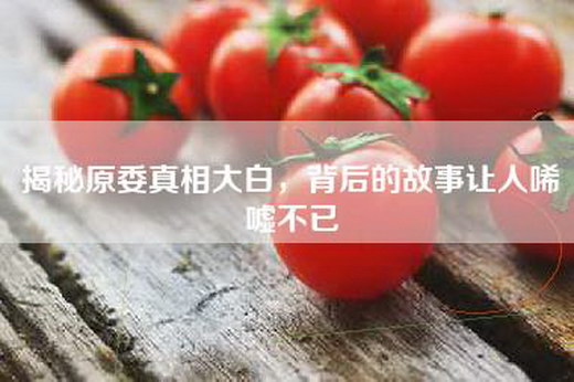 揭秘原委真相大白，背后的故事让人唏嘘不已