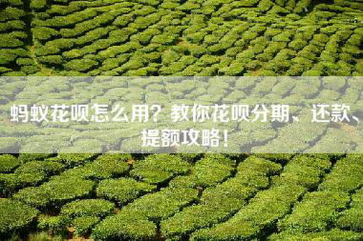 蚂蚁花呗怎么用？教你花呗分期、还款、提额攻略！