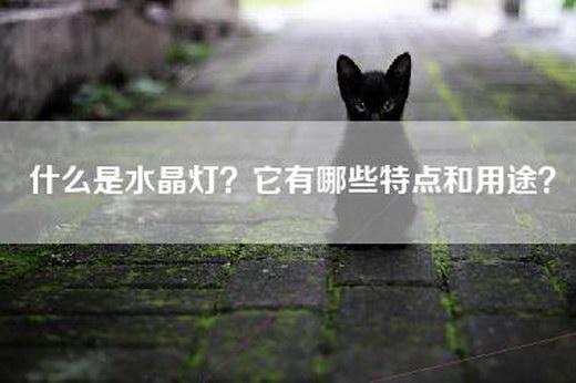 什么是水晶灯？它有哪些特点和用途？