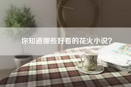 你知道哪些好看的花火小说？