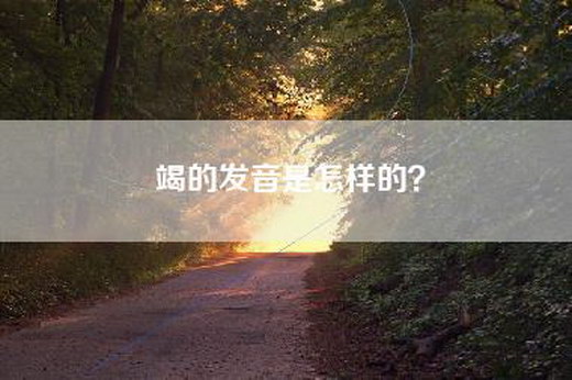 竭的发音是怎样的？