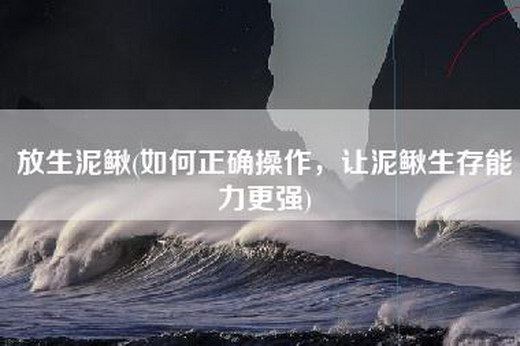 放生泥鳅(如何正确操作，让泥鳅生存能力更强)