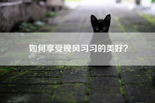 如何享受晚风习习的美好？