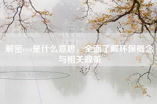 解密eco是什么意思，全面了解环保概念与相关政策