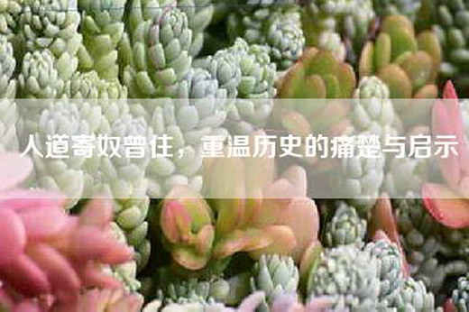 人道寄奴曾住，重温历史的痛楚与启示