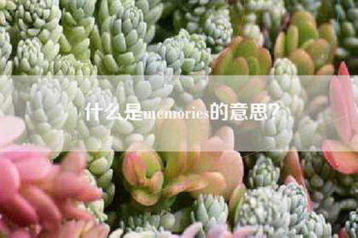 什么是memories的意思？