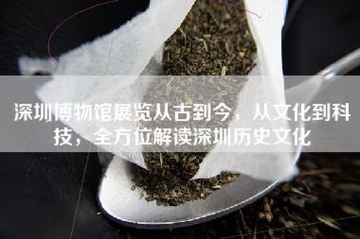 深圳博物馆展览从古到今，从文化到科技，全方位解读深圳历史文化