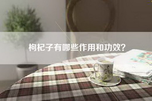 枸杞子有哪些作用和功效？