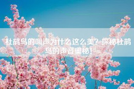 杜鹃鸟的叫声为什么这么美？探秘杜鹃鸟的声音奥秘！