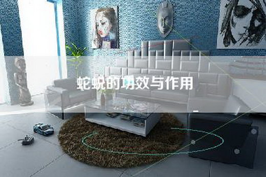 蛇蜕的功效与作用