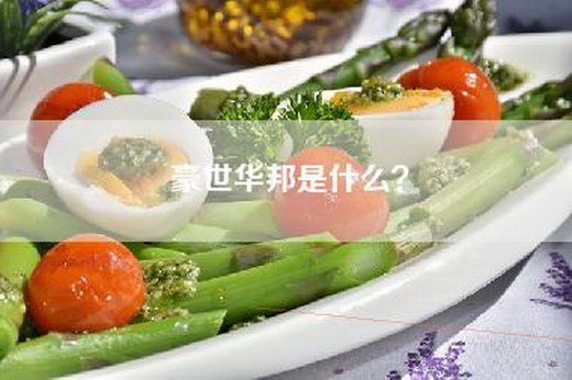 豪世华邦是什么？