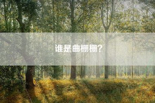 谁是曲栅栅？