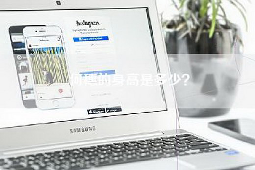 何穗的身高是多少？