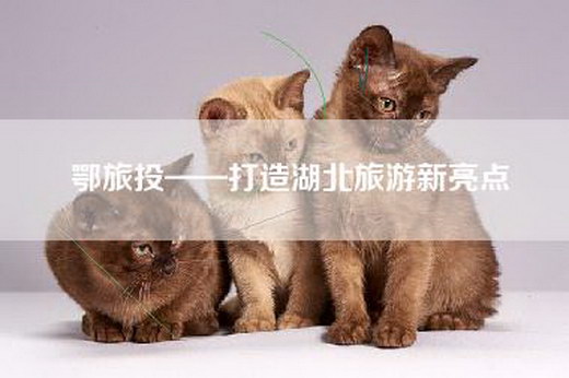 鄂旅投——打造湖北旅游新亮点