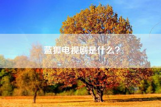 蓝狐电视剧是什么？