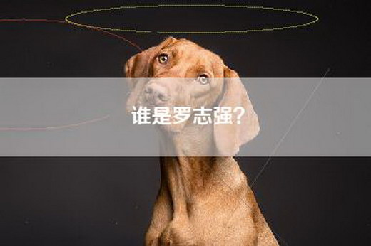 谁是罗志强？