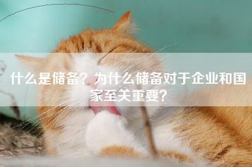 什么是储备？为什么储备对于企业和国家至关重要？