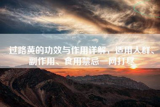 过路黄的功效与作用详解，适用人群、副作用、食用禁忌一网打尽