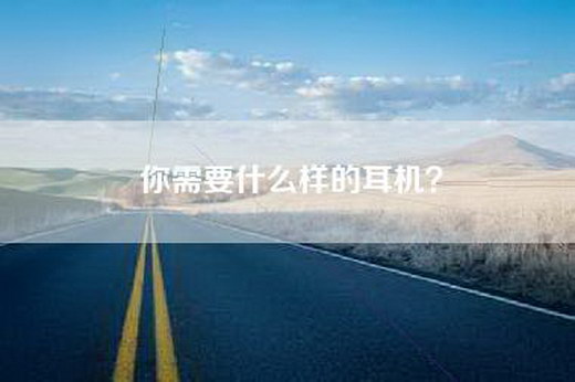 你需要什么样的耳机？