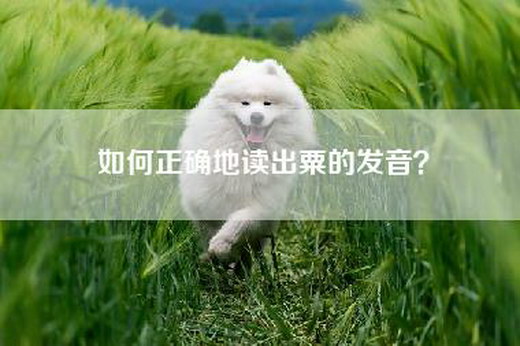 如何正确地读出粟的发音？