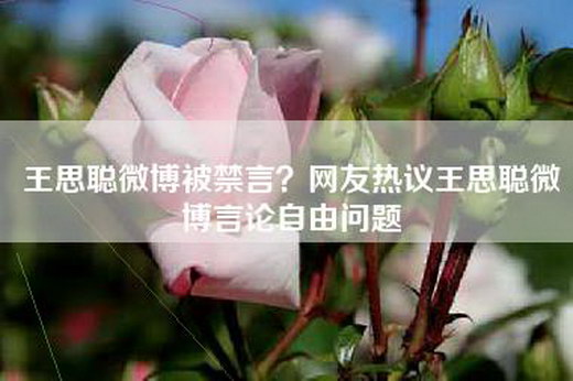 王思聪微博被禁言？网友热议王思聪微博言论自由问题
