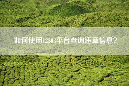 如何使用12303平台查询违章信息？