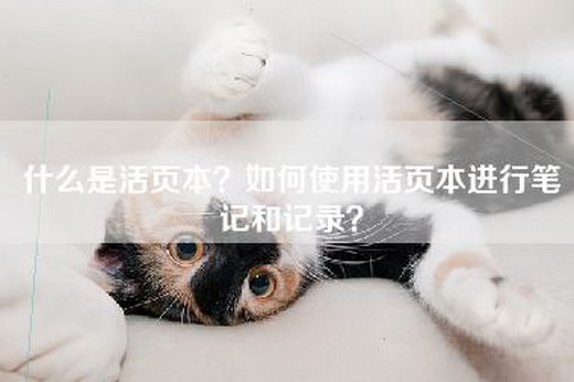 什么是活页本？如何使用活页本进行笔记和记录？