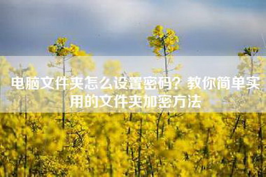 电脑文件夹怎么设置密码？教你简单实用的文件夹加密方法