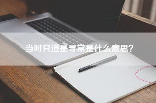 当时只道是寻常是什么意思？