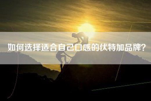 如何选择适合自己口感的伏特加品牌？