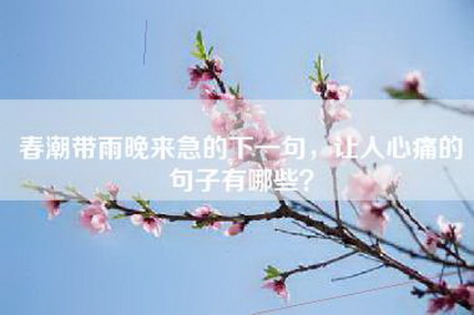 春潮带雨晚来急的下一句，让人心痛的句子有哪些？