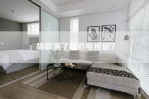 胡歌演了哪些电视剧？