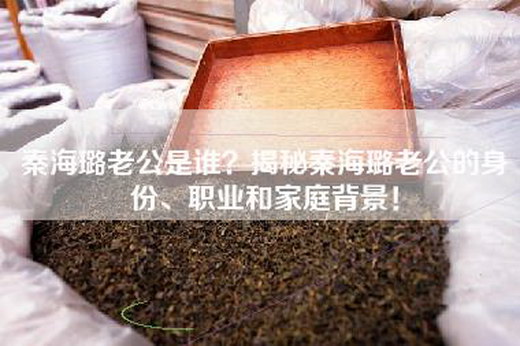 秦海璐老公是谁？揭秘秦海璐老公的身份、职业和家庭背景！