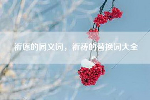 祈愿的同义词，祈祷的替换词大全