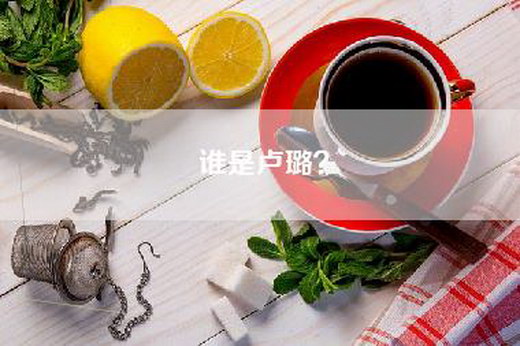 谁是卢璐？