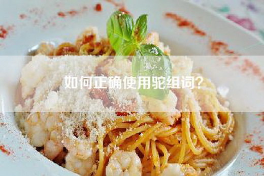 如何正确使用驼组词？