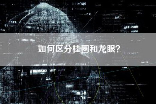 如何区分桂圆和龙眼？