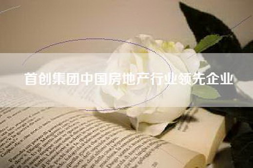 首创集团中国房地产行业领先企业