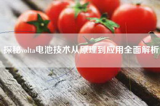 探秘volta电池技术从原理到应用全面解析