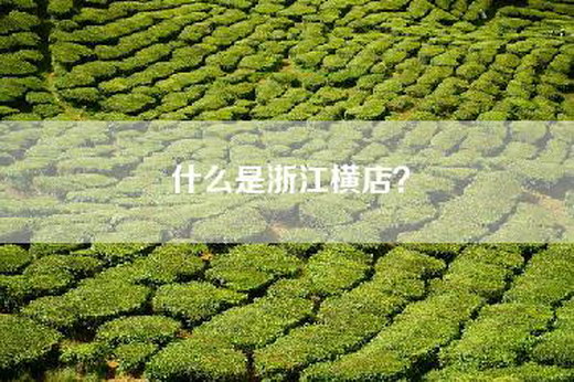 什么是浙江横店？