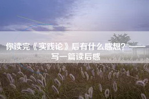 你读完《实践论》后有什么感想？——写一篇读后感