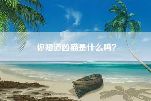 你知道凶猫是什么吗？
