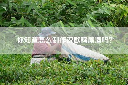 你知道怎么制作锐欧鸡尾酒吗？
