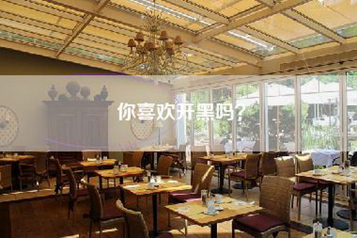你喜欢开黑吗？