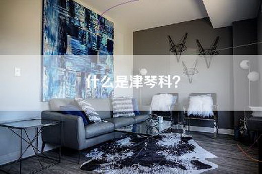 什么是津琴科？