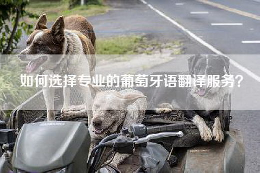 如何选择专业的葡萄牙语翻译服务？