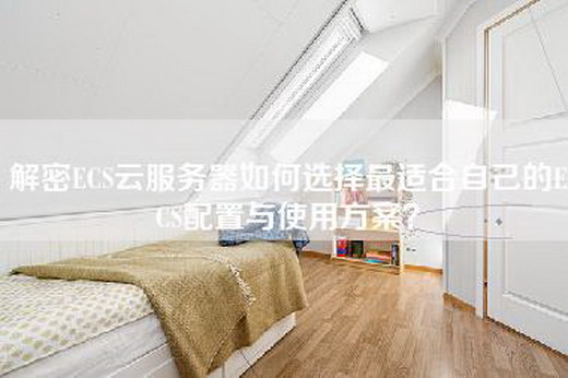 解密ECS云服务器如何选择最适合自己的ECS配置与使用方案？
