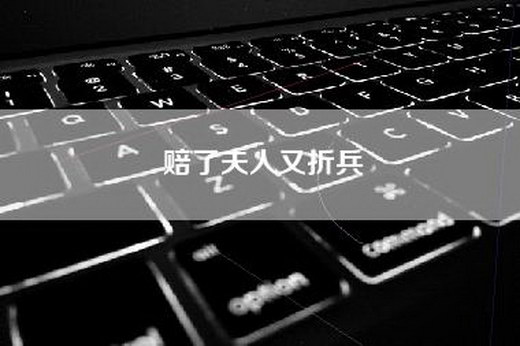 赔了夫人又折兵